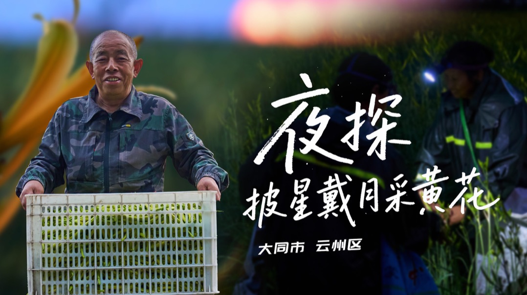 行進中國 | “花”式產業綻放沃野